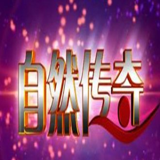 2019年CCTV-10《自然传奇》联合特约广告价格