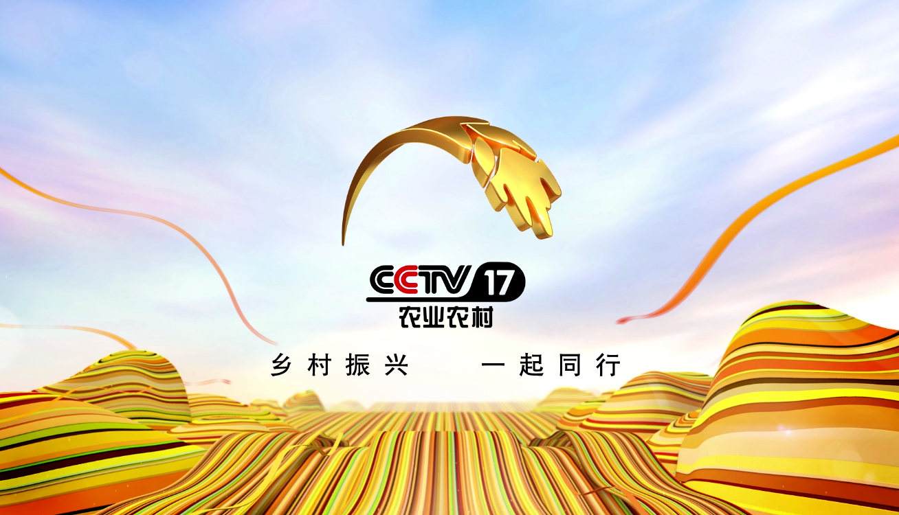 2020年CCTV-17农业农村频道 时段广告刊例表