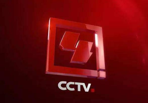 2021 年 CCTV-4 中文国际频道战略合作伙伴