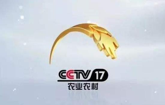 CCTV-1、17《2020 年度乡村振兴人物榜》颁奖晚会