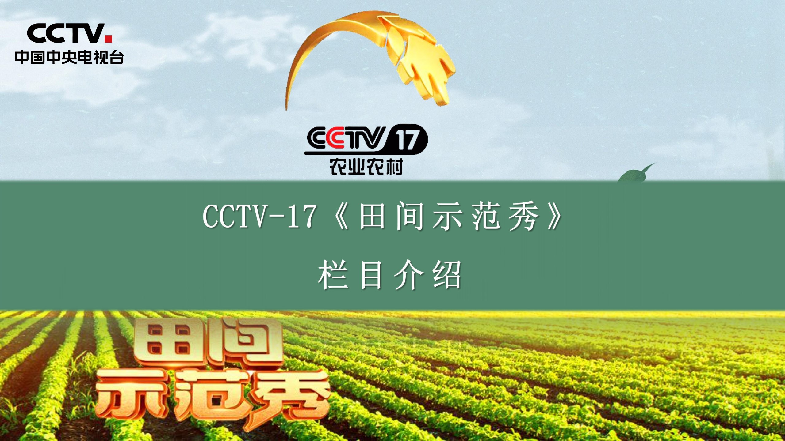 2021年CCTV17农业农村频道田间示范秀栏目介绍
