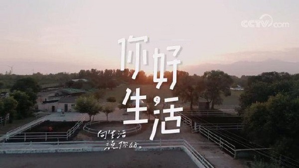 CCTV-3《你好生活》（第三季）指定座驾