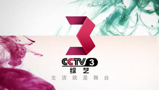 2021 年 CCTV-3 综艺频道全年节日特别支持