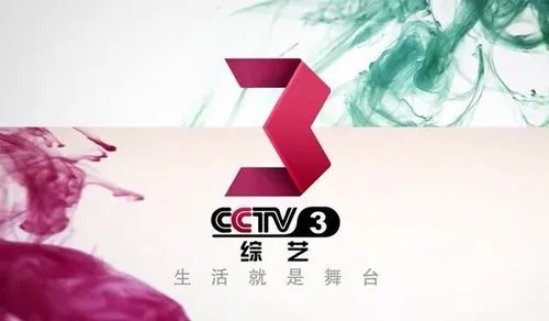 2022 年 CCTV-3 综艺频道全年节日特别支持