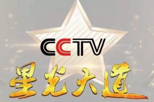 2023 年 CCTV-3《星光大道》行业赞助