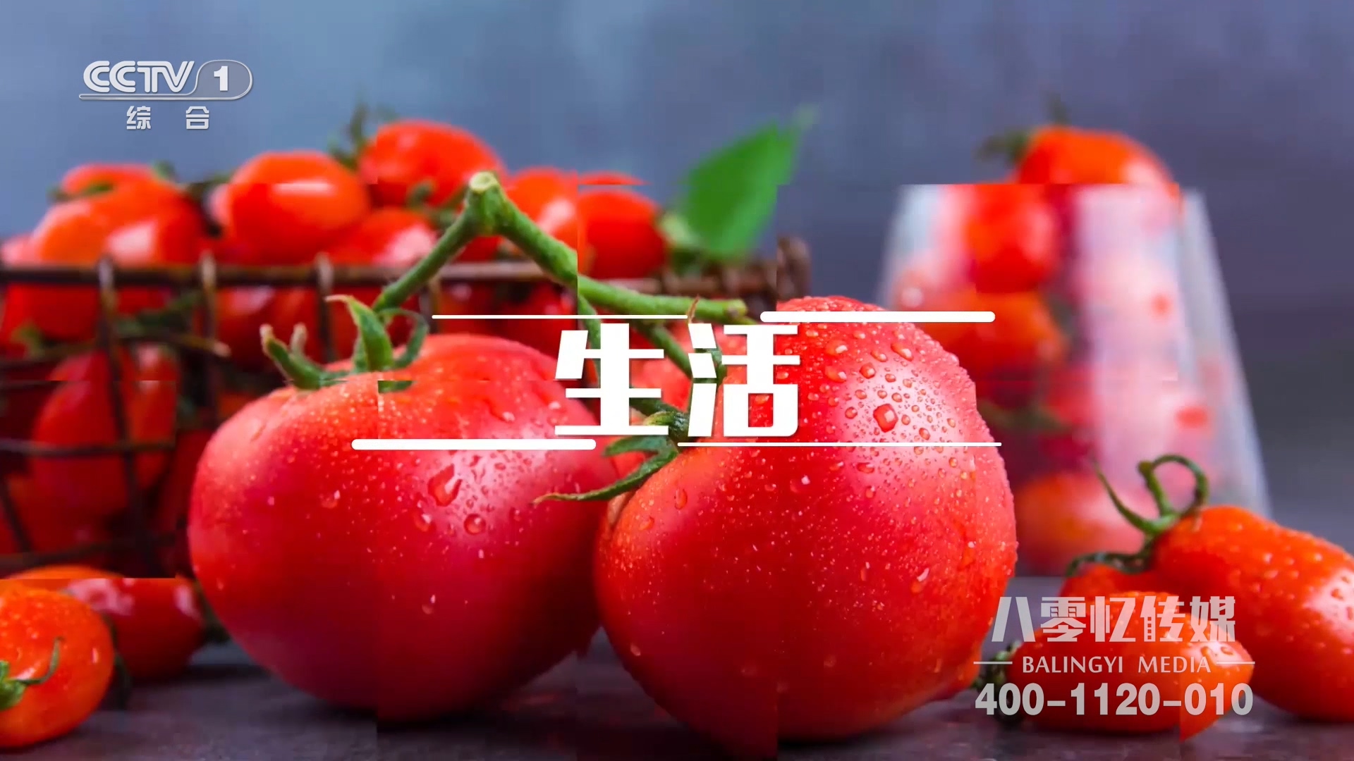中国饶阳京津冀蔬菜产业发展大会